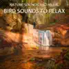 Nature Sounds and Music - Bird Sounds to Relax - EP